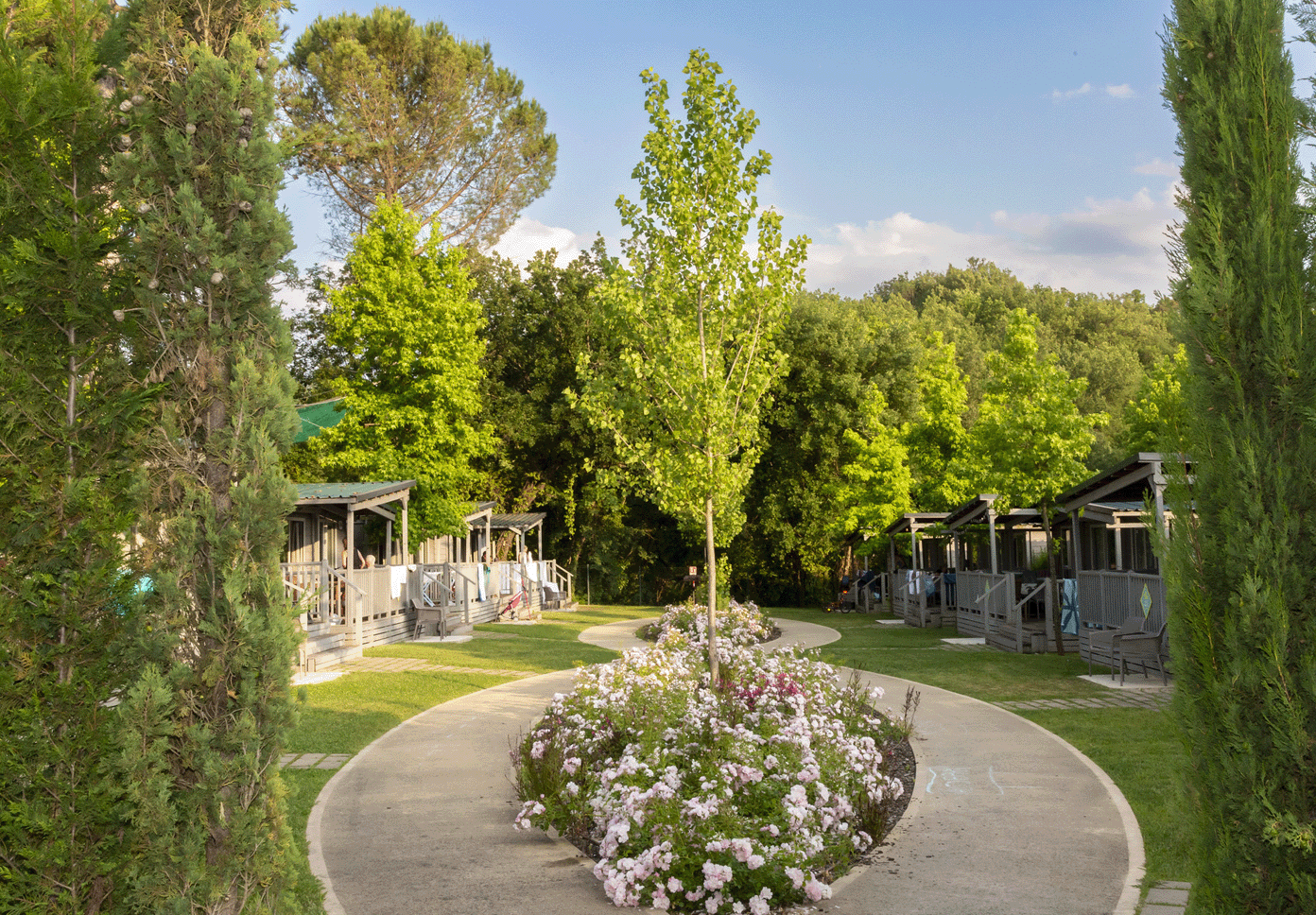 Immagine illustrativa