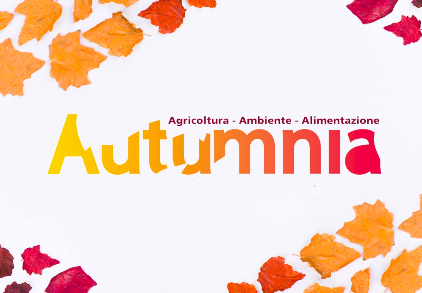 Immagine illustrativa