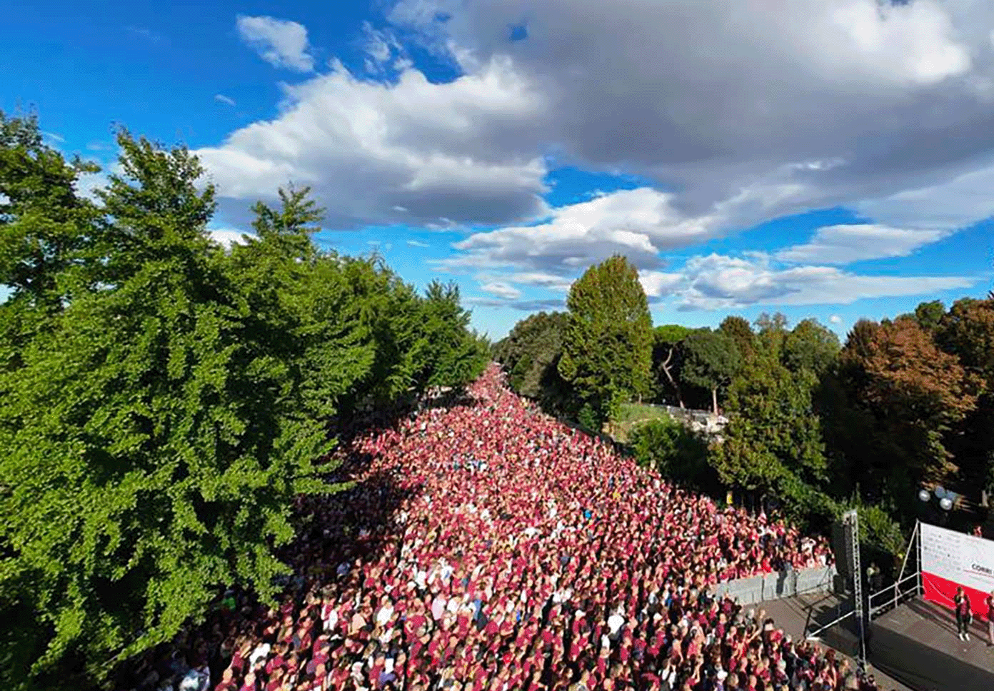 Immagine illustrativa