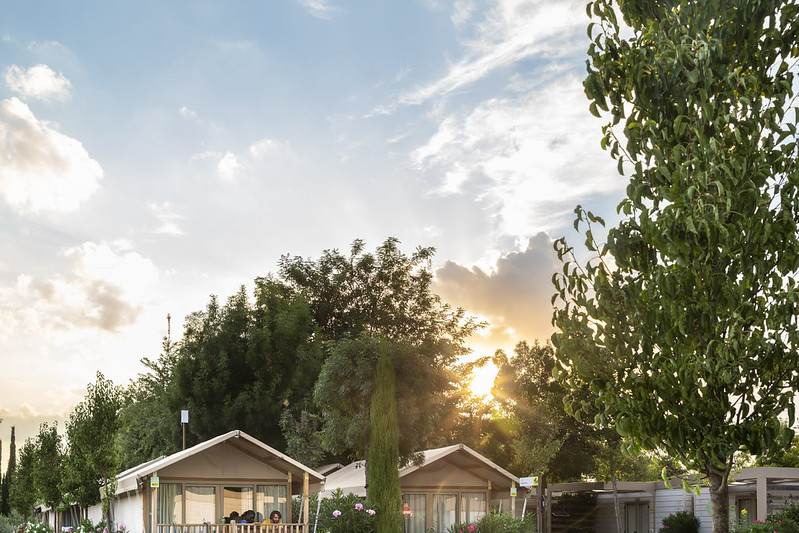 Immagine illustrativa