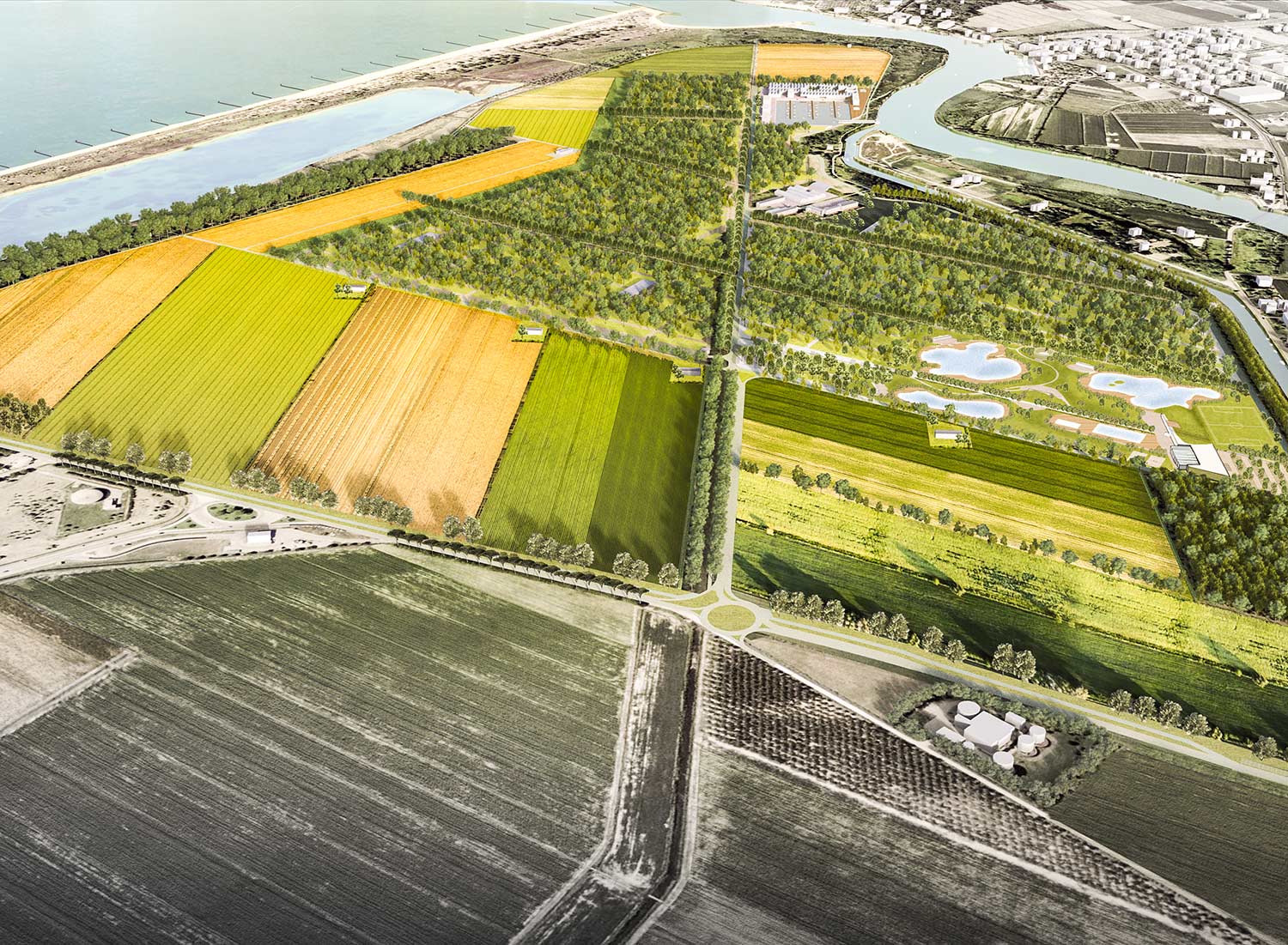 Immagine illustrativa