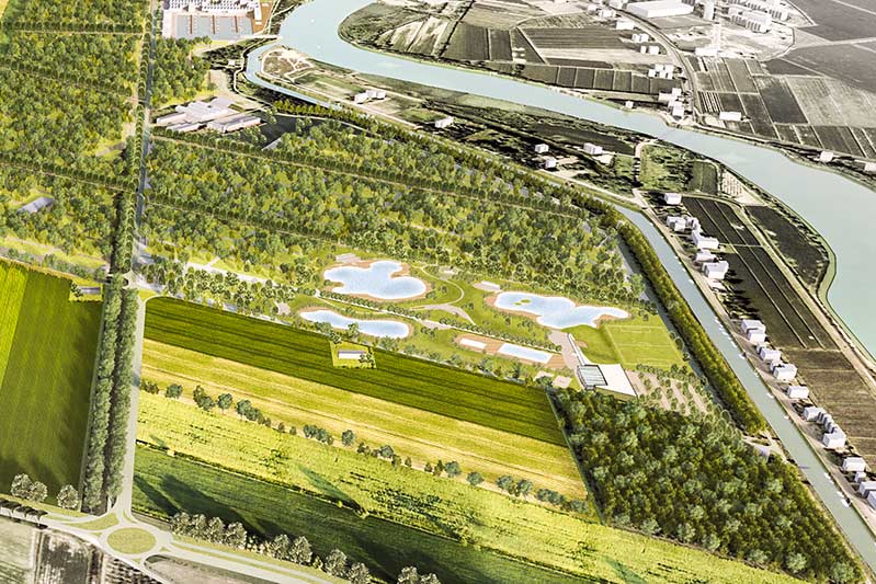 Immagine illustrativa