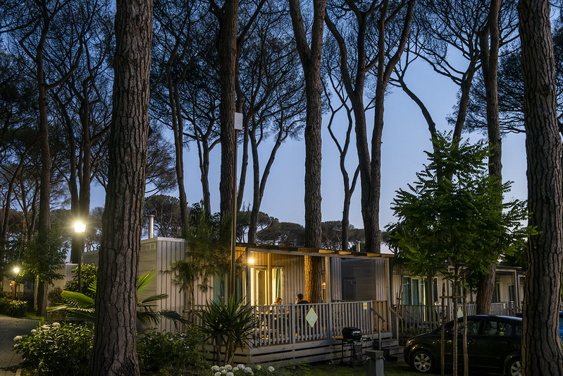 Immagine illustrativa