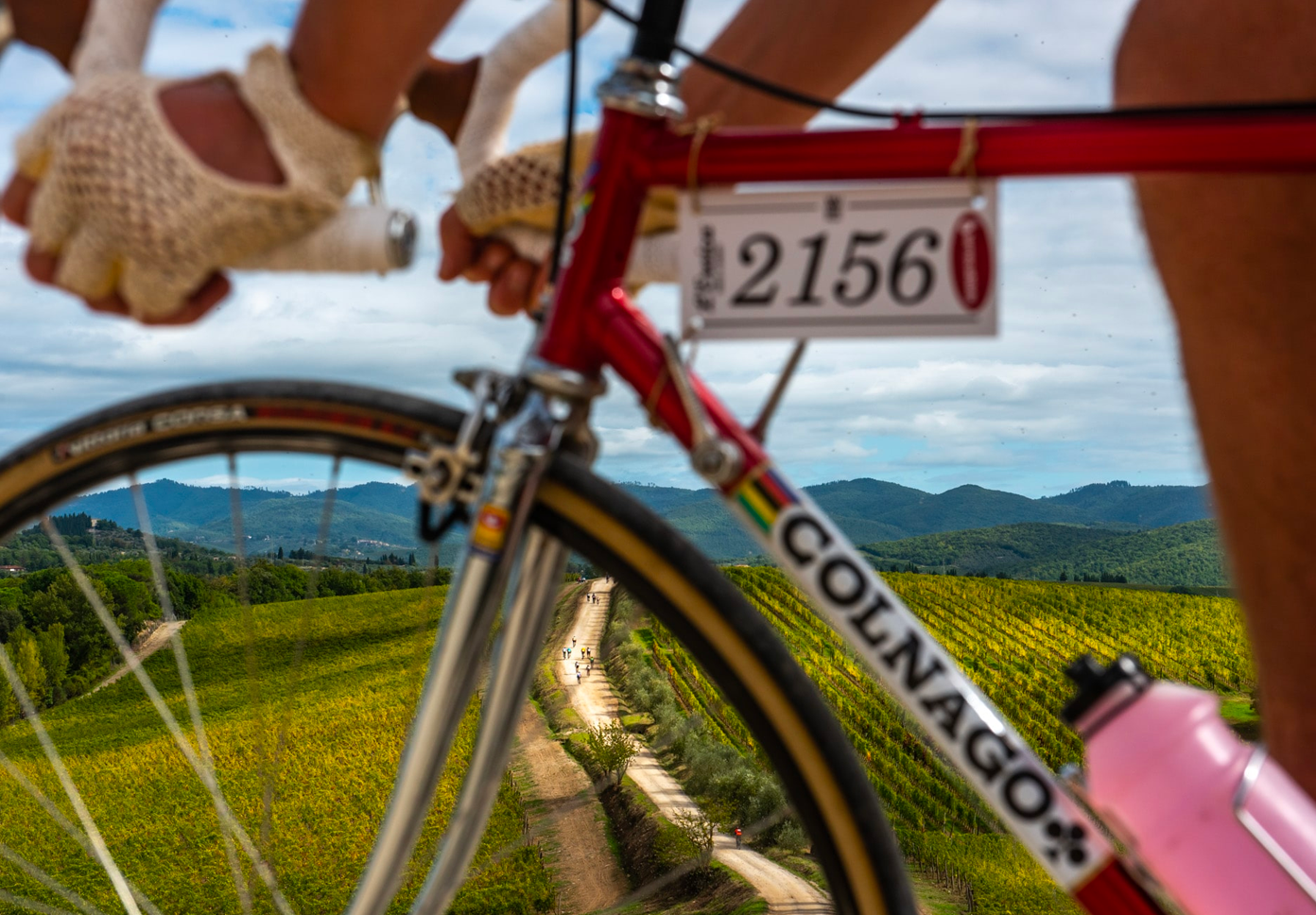 Immagine illustrativa