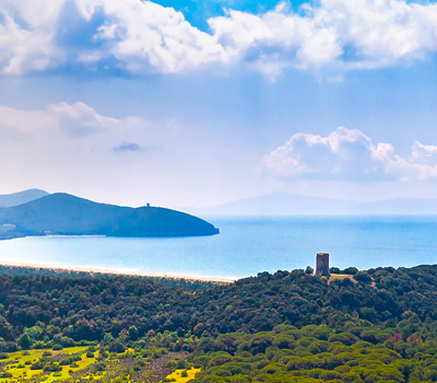 Immagine illustrativa