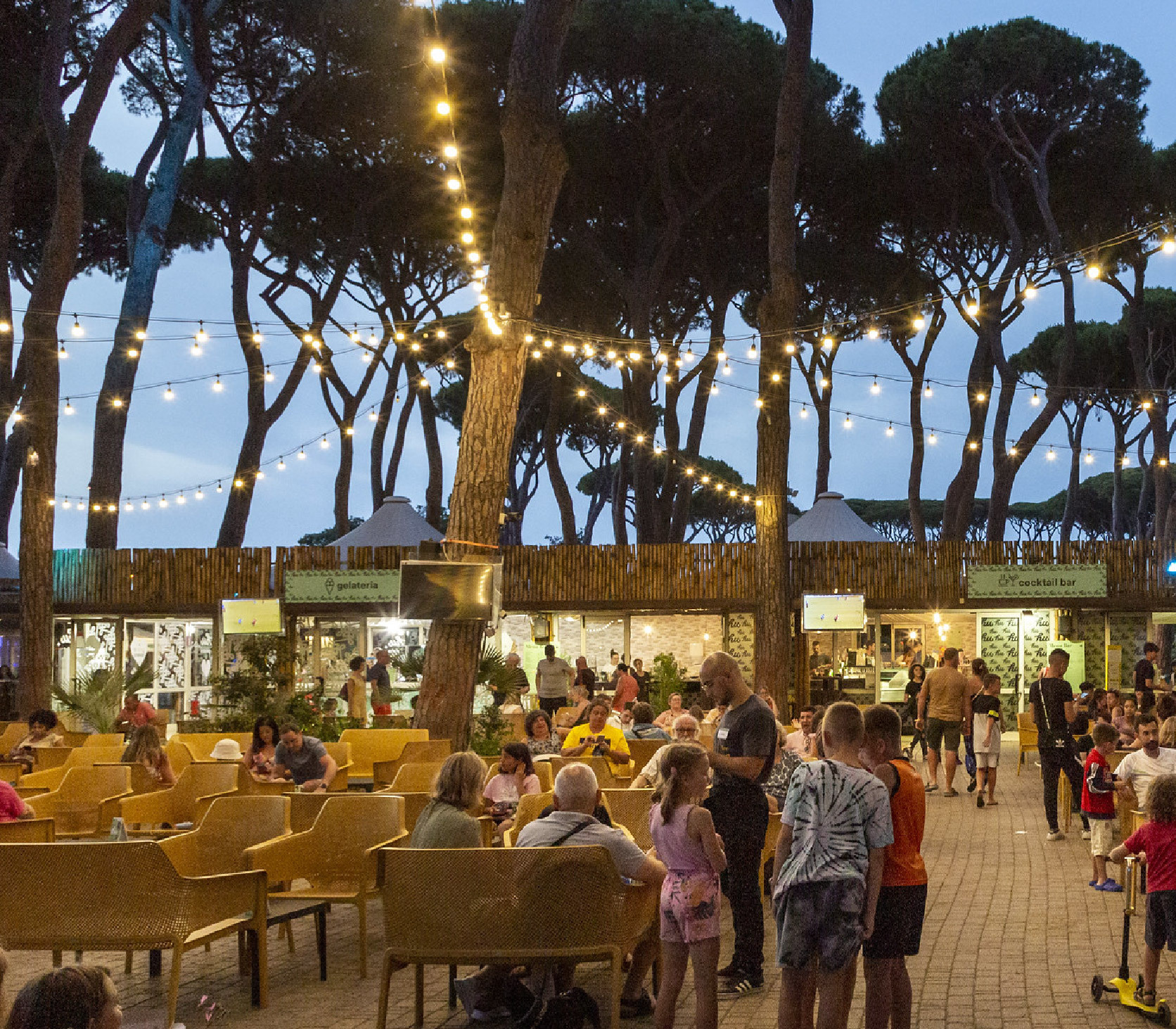 Immagine illustrativa