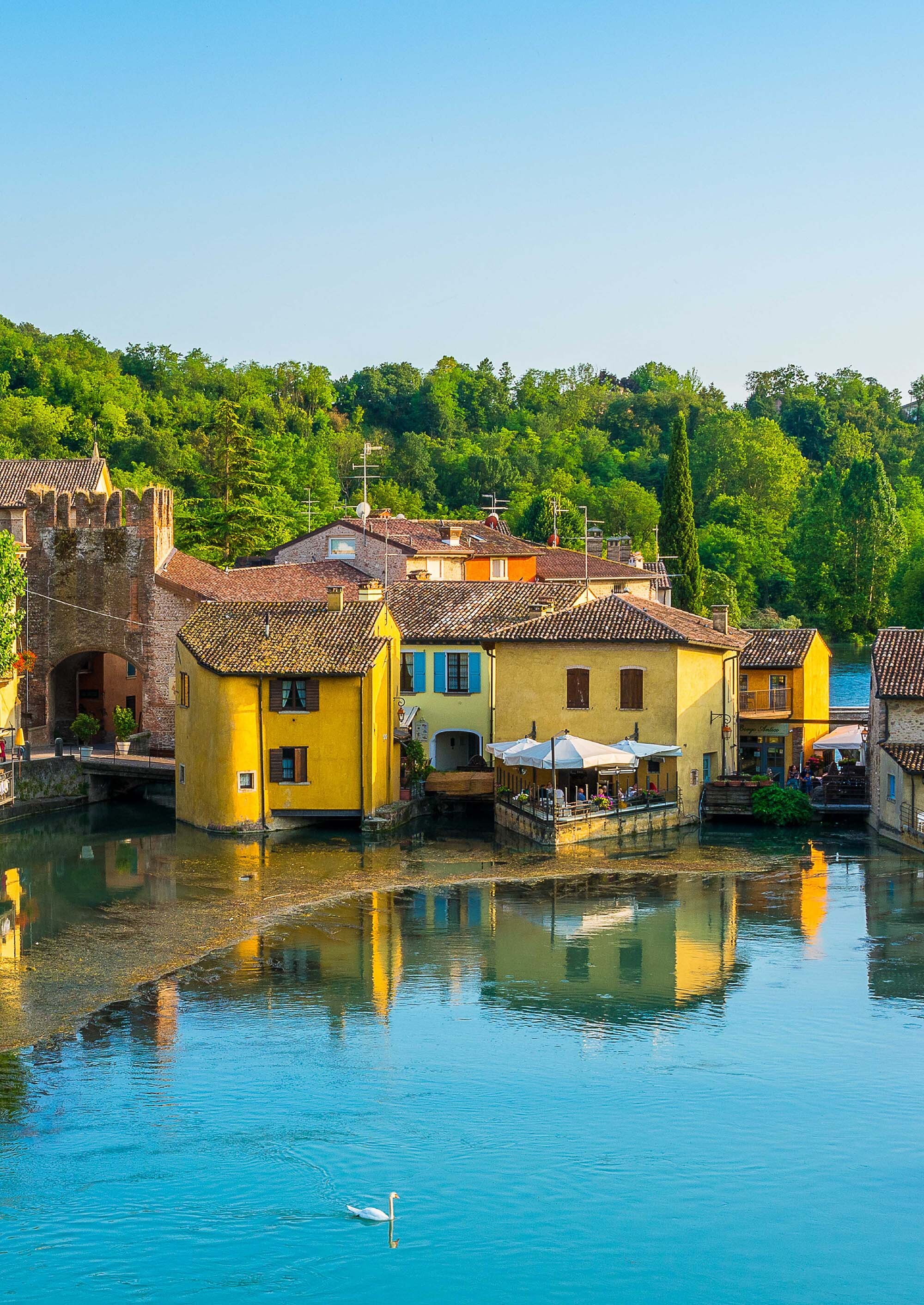 Immagine illustrativa