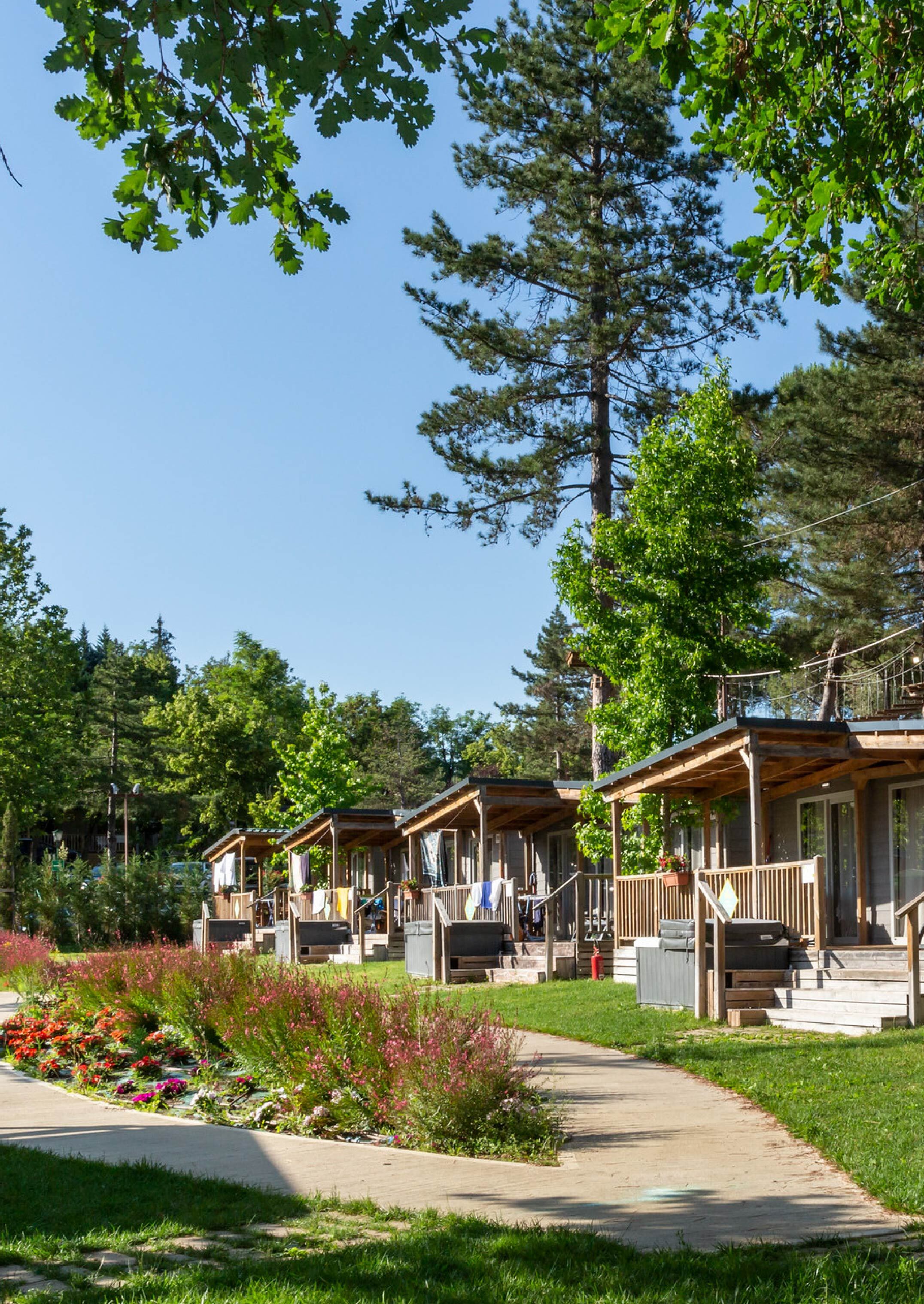 Immagine illustrativa