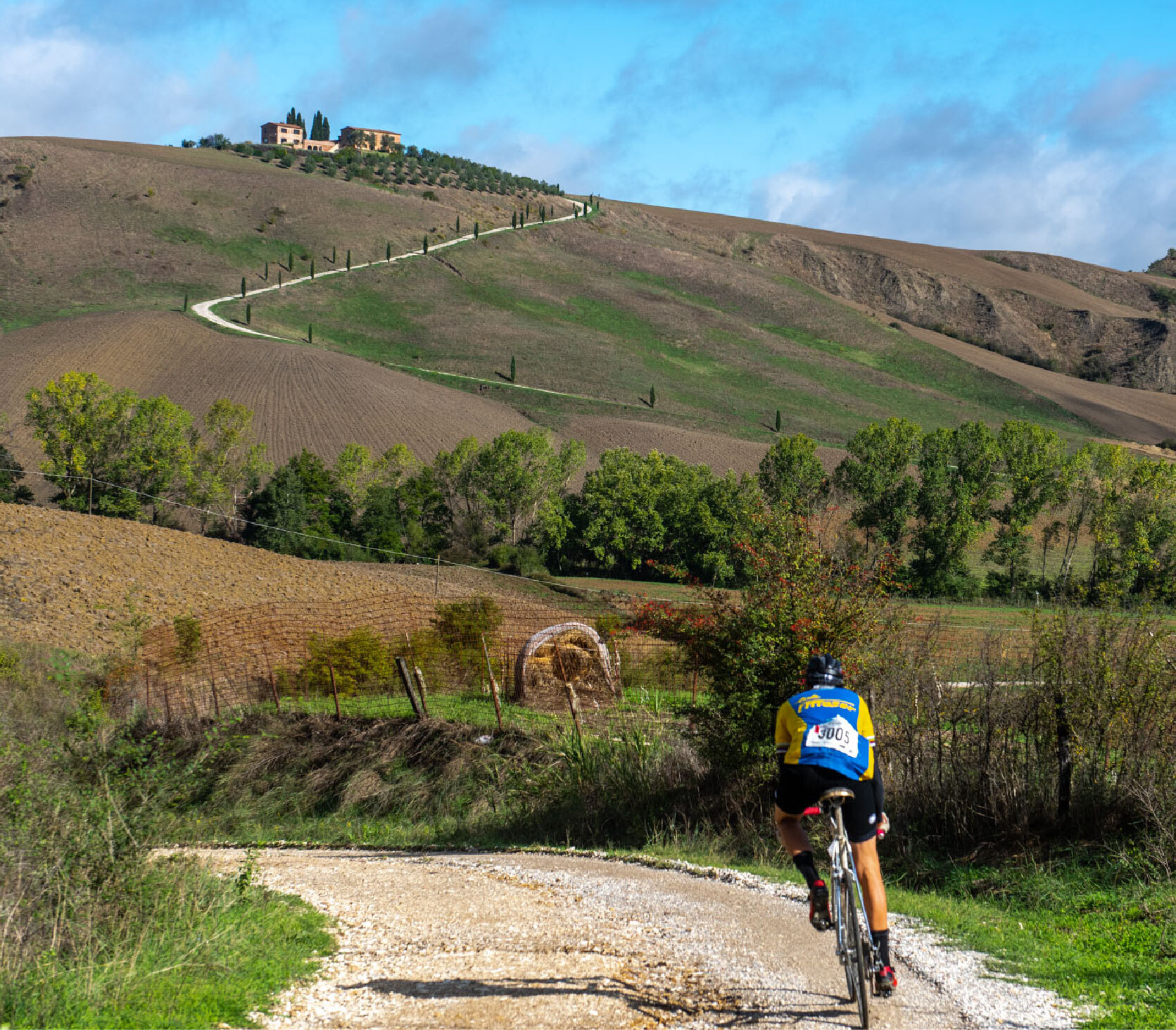 Immagine illustrativa