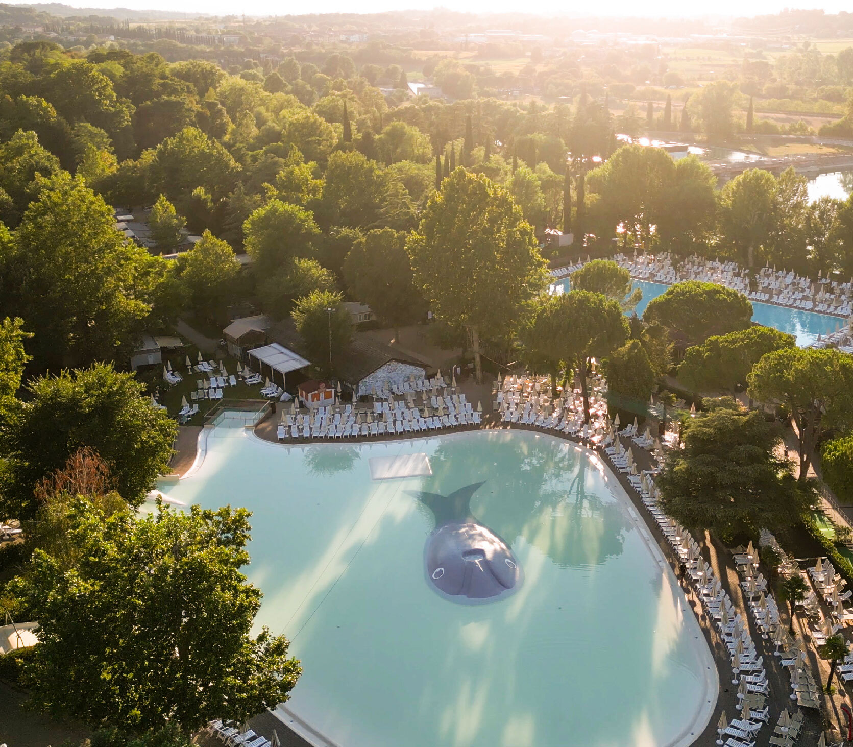 Immagine illustrativa