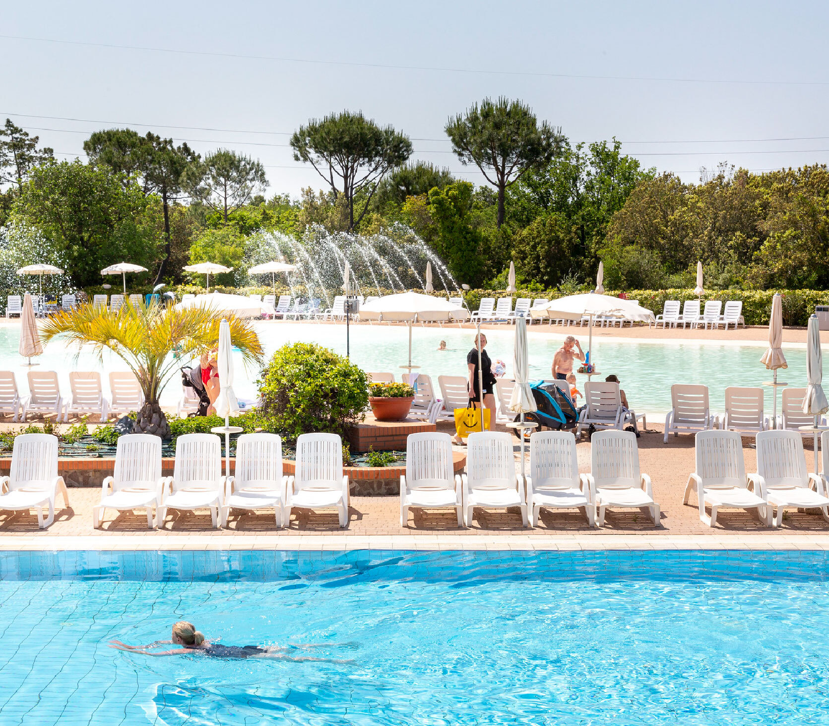 Immagine illustrativa