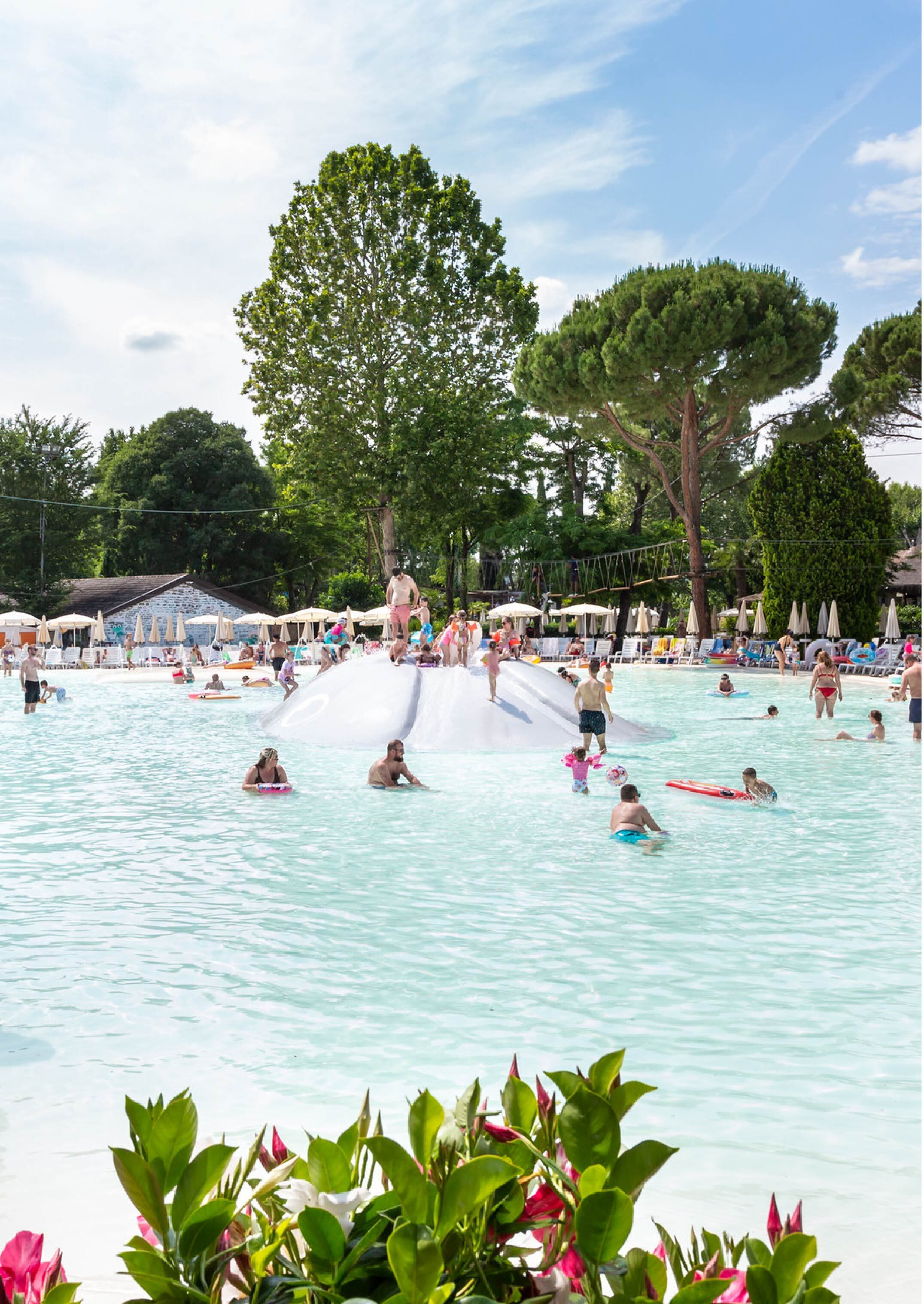 Immagine illustrativa