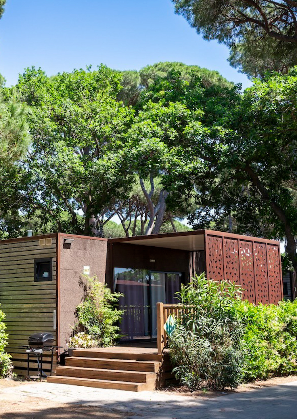 Immagine illustrativa