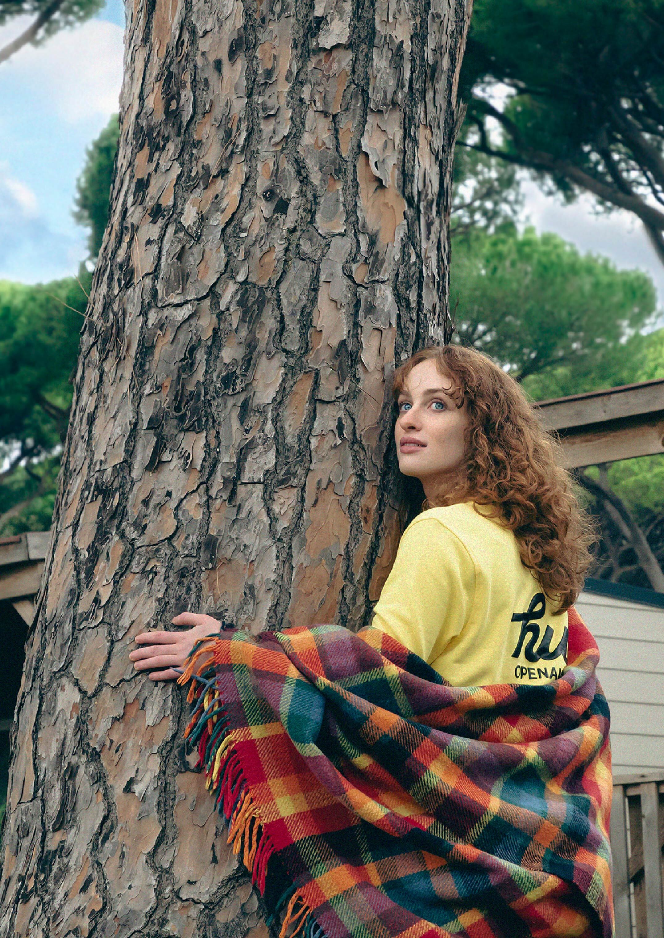 Immagine illustrativa