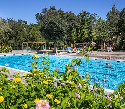 Immagine illustrativa