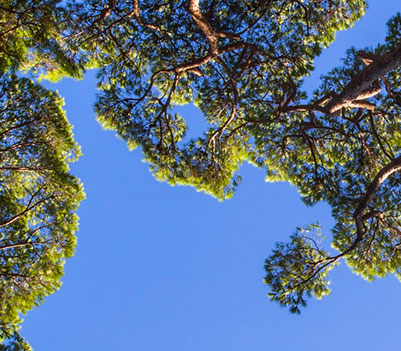 Immagine illustrativa