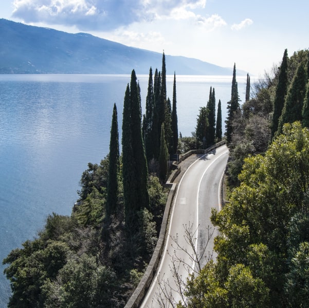 Immagine illustrativa