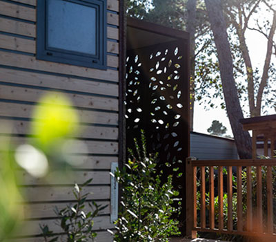 Immagine illustrativa